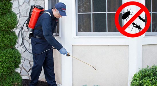 Kadışehri Hamam Böceği İlaçlama böcek ilaçlama ve haşere kontrolü — ilaclama-tr.com